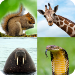 Animal Quiz Mod Apk 1.1.58 (Unlimited Money)