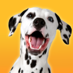 Dalmatian Simulator Mod Apk 1.3.0 (Unlimited Money)