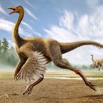 Gallimimus Simulator Mod Apk 1.3.1 (Unlimited Money)
