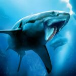 Helicoprion Simulator Mod Apk 1.3.0 (Unlimited Money)