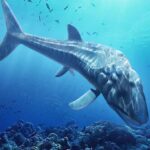 Leedsichthys Simulator Mod Apk 1.2.6 (Unlimited Money)