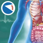 Anatomia Super Mod Apk 1.1.6 (Unlimited Money)