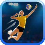 Fine Volleyball Mod Apk 0.8897 (Unlimited Money)