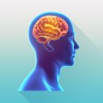 Trivia Mod Apk 5.1 (Unlimited Money)