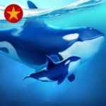 World of Water Mod Apk 4.56.1 (Unlimited Money)