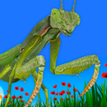 Bugs & Insects VR/AR Kid Game Mod Apk 4.6.0 (Unlimited Money)
