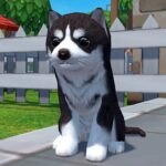 Dog Simulator 3D  Mod Apk 1.1.02 (Unlocked)