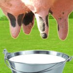 Farm Milk The Cow Mod Apk 3.2.6 (Unlimited Money)