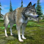 Wolf Simulator  Mod Apk 1.0.69 (Unlimited Money)