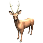 Zookidi Mod Apk 1.36 (Unlimited Money)