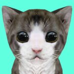 Cat Simulator Online Mod Apk 62 (Unlimited Money)
