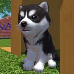 Cute Pocket Puppy 3D  Mod Apk 1.11.2 (Unlimited Money)