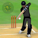 Smashing Cricket Mod Apk 4.6.5  (Unlimited Money)