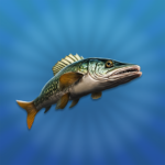 True Fishing 2  Mod Apk 1.13.0 (Unlimited Money)